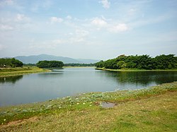 บึงน้ำใส ตะโล๊ะหะลอ - panoramio